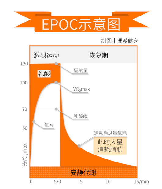 燃烧脂肪有氧运动_运动燃烧脂肪的原理_燃烧脂有氧运动